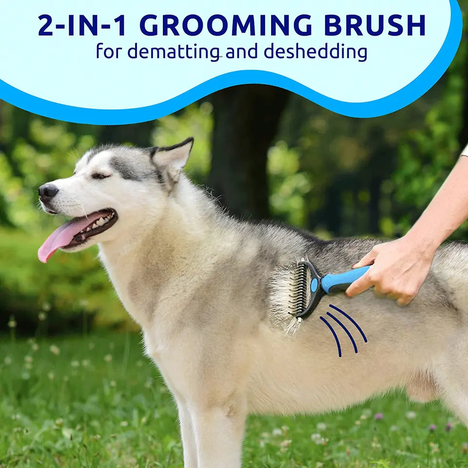 Pawsitively Groomed Groomer