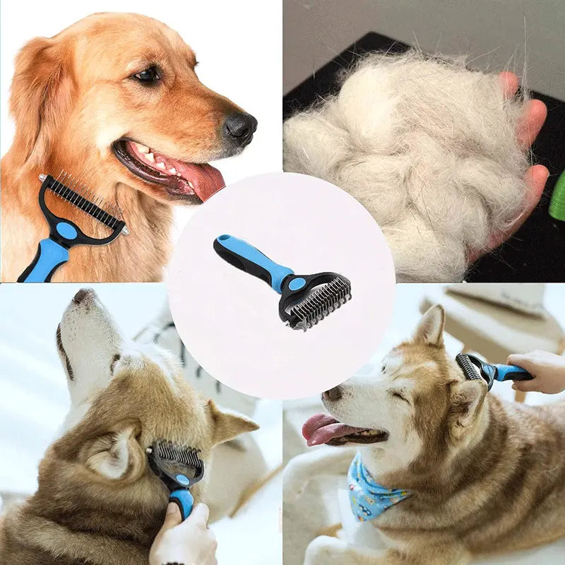 Pawsitively Groomed Groomer